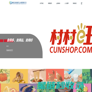 重庆供销电商产业发展有限公司